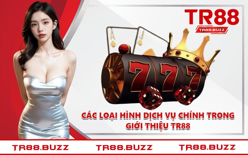 Các loại hình dịch vụ chính trong giới thiệu TR88