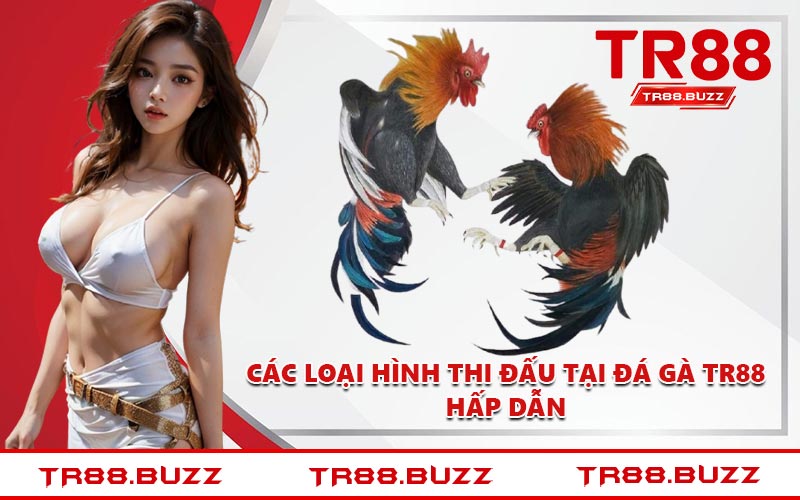 Các loại hình thi đấu tại đá gà TR88 hấp dẫn