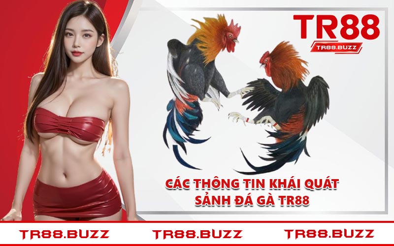 Các thông tin khái quát sảnh đá gà TR88