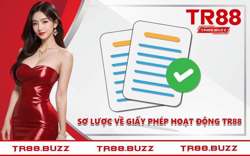 Sơ lược về giấy phép hoạt động TR88