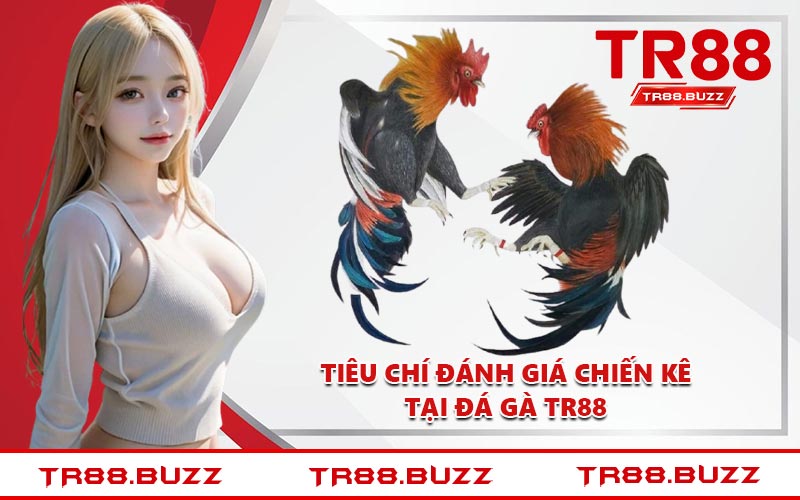 Tiêu chí đánh giá chiến kê tại đá gà TR88